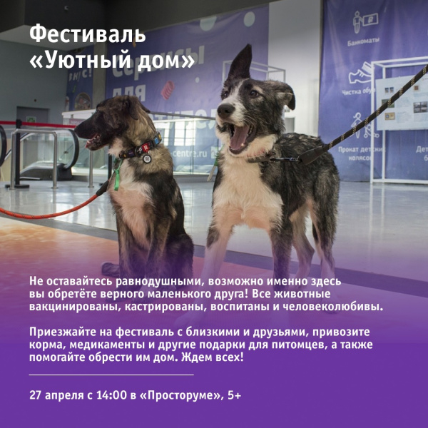 Фестиваль «Уютный дом»