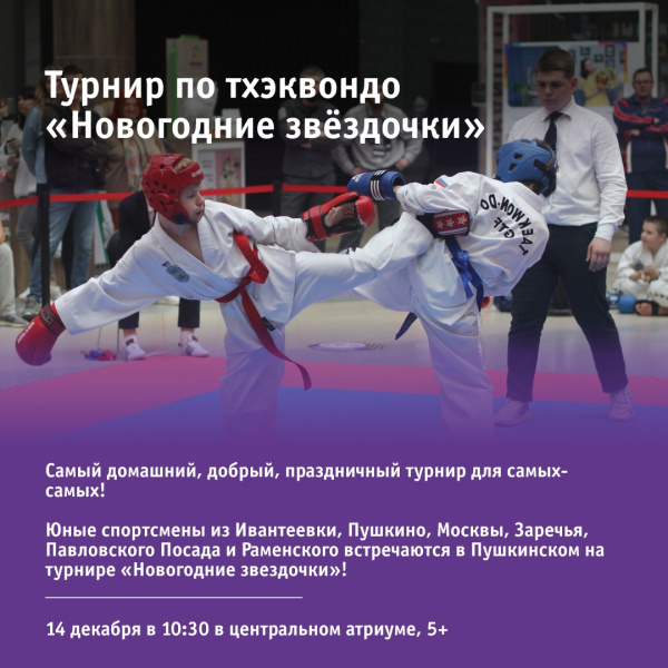 Турнир по тхэквондо «Новогодние звёздочки»