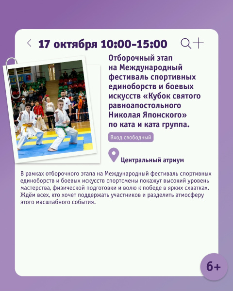Отборочный этап на Международный фестиваль спортивных единоборств и боевых искусств «Кубок святого равноапостольного Николая Японского» по ката и ката группа.