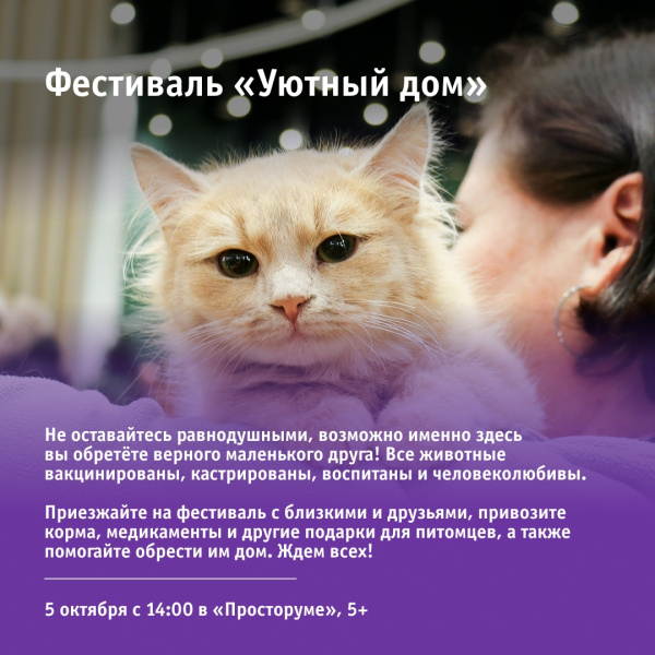 Фестиваль «Уютный дом»