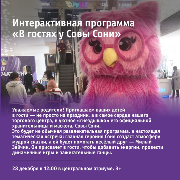 Интерактивная программа «В гостях у Совы Сони»