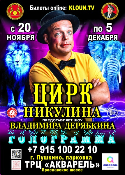 Шоу Владимира Дерябкина «Голограмма»