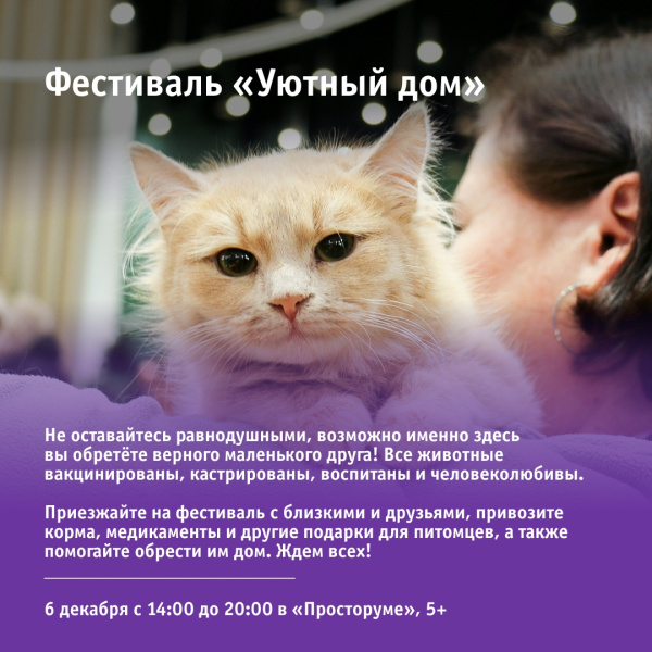Фестиваль «Уютный дом»