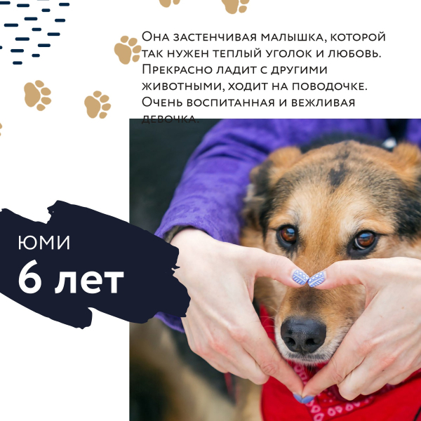 ФЕСТИВАЛЬ «УЮТНЫЙ ДОМ»