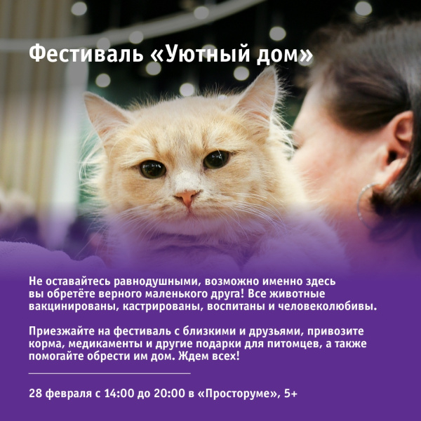 Фестиваль «Уютный дом»