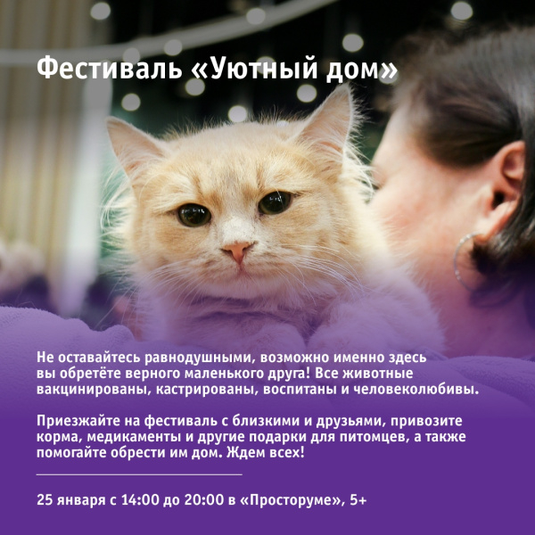 Фестиваль «Уютный дом»