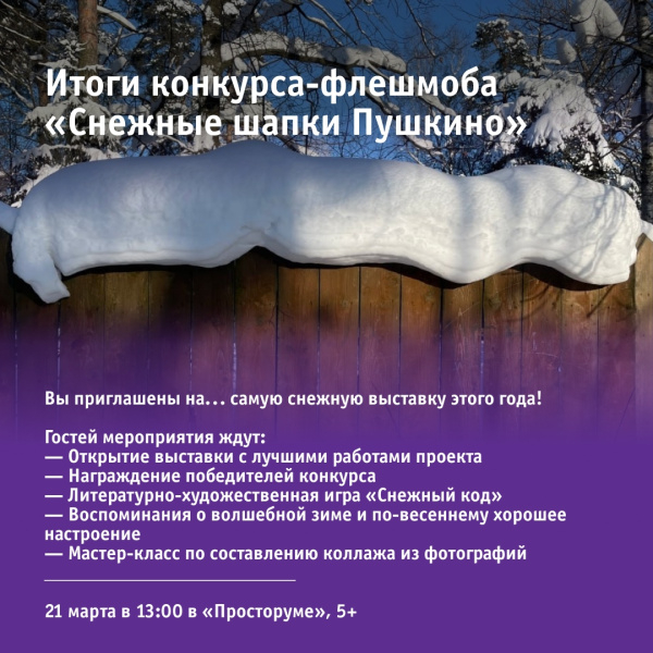 Итоги конкурса-флешмоба «Снежные шапки Пушкино»