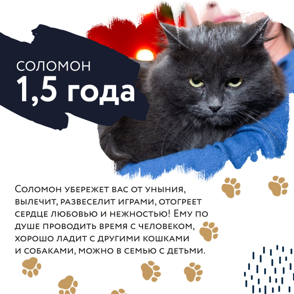 ФЕСТИВАЛЬ «УЮТНЫЙ ДОМ»