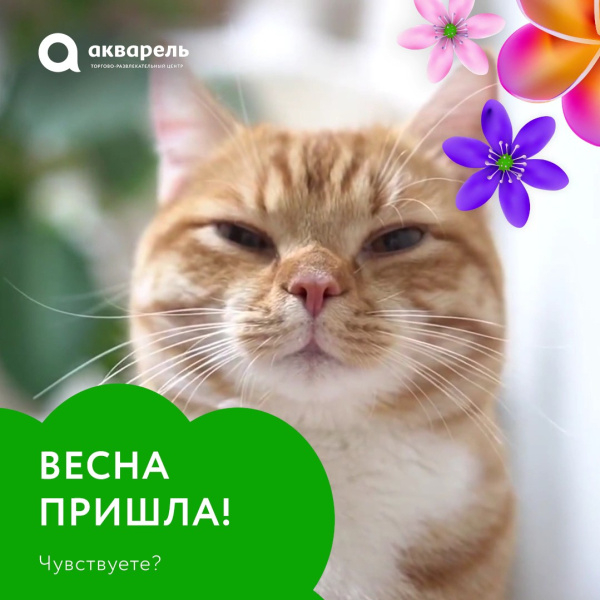 Весна пришла!