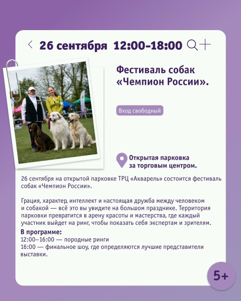 Фестиваль собак «Чемпион России»