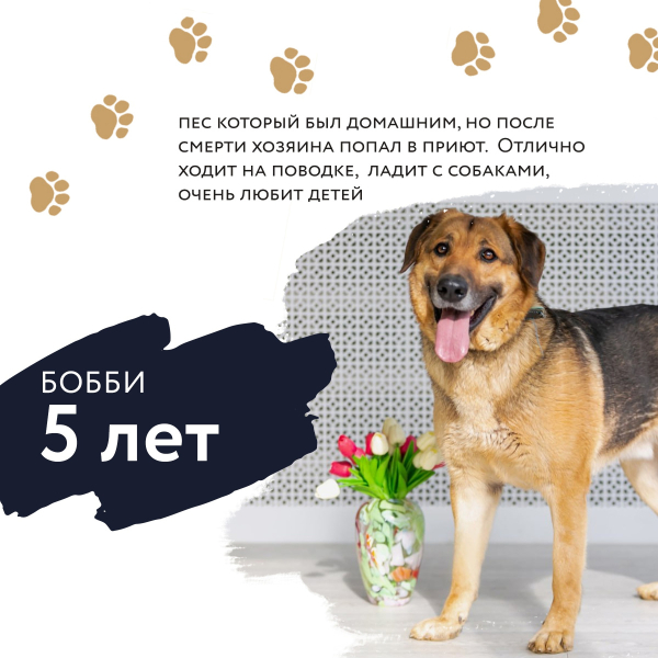 ФЕСТИВАЛЬ «УЮТНЫЙ ДОМ»