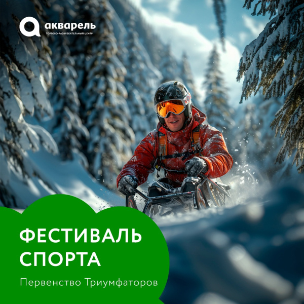 Фестиваль спорта «Первенство Триумфаторов»