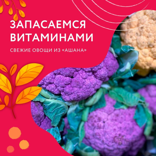 ДОБАВЛЯЙТЕ ОВОЩИ ИЗ «АШАНА» В РАЦИОН