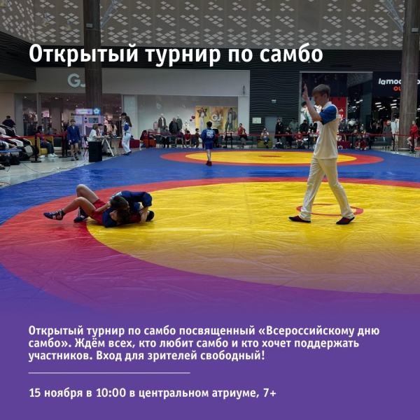 Открытый турнир по самбо