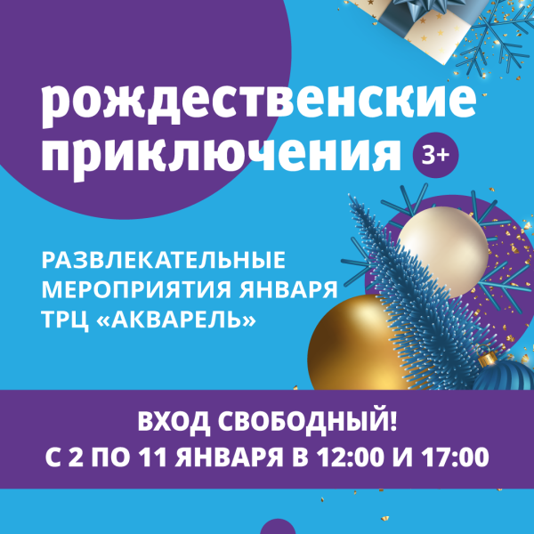 Рождественские приключения