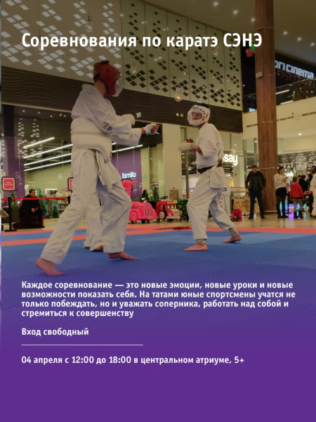 Соревнования по каратэ СЭНЭ