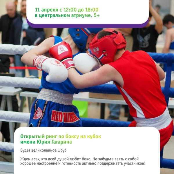 Открытый ринг по боксу на кубок имени Юрия Гагарина