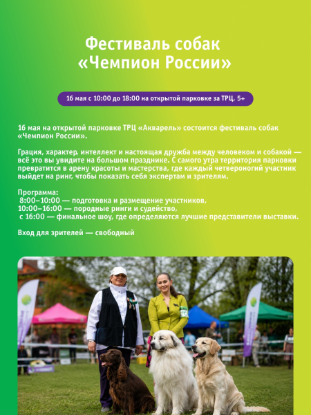 Фестиваль собак «Чемпион России»