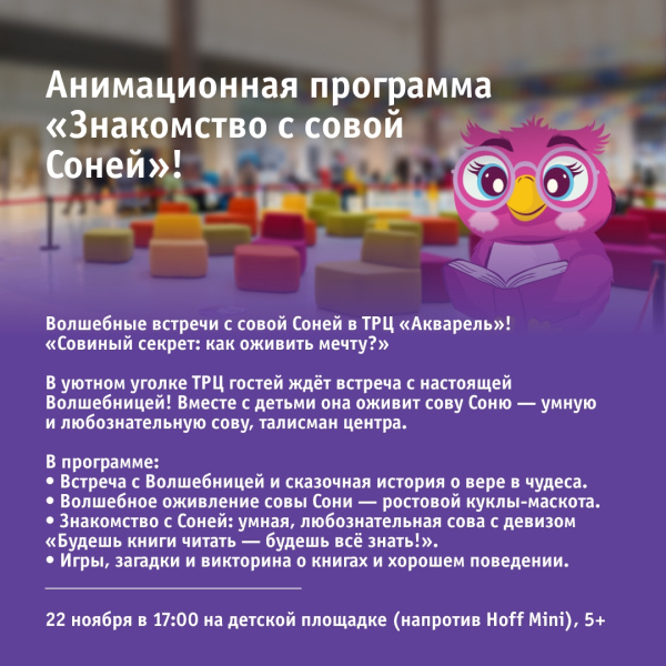 Анимационная программа «Знакомство с совой Соней»!