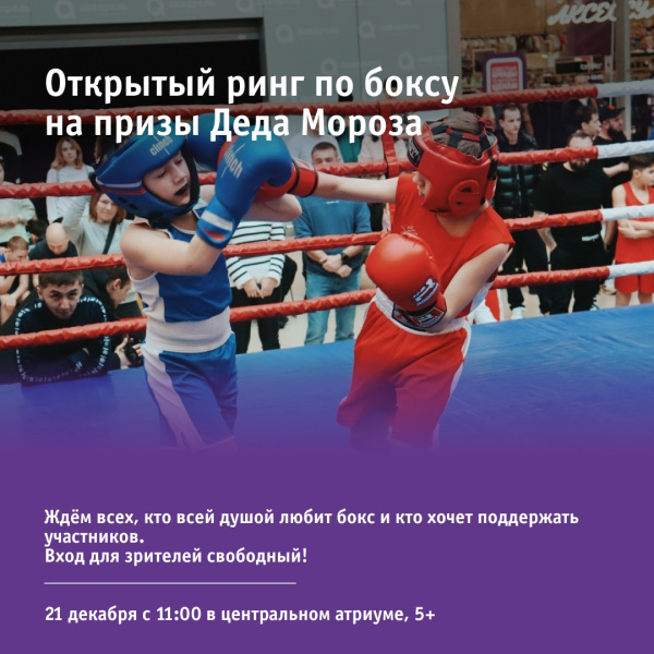 Открытый ринг по боксу на призы Деда Мороза
