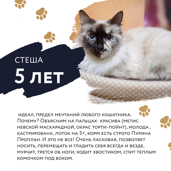 ФЕСТИВАЛЬ «УЮТНЫЙ ДОМ»